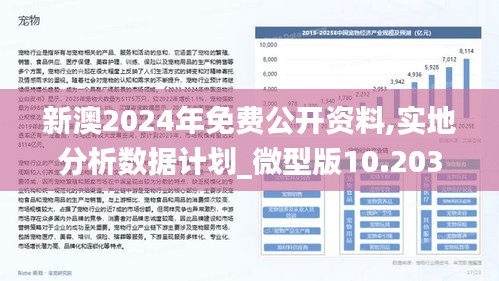 2024新澳精准资料期期到-全面释义解释落实