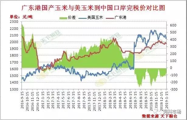 玉米最新价格走势图，市场分析与展望