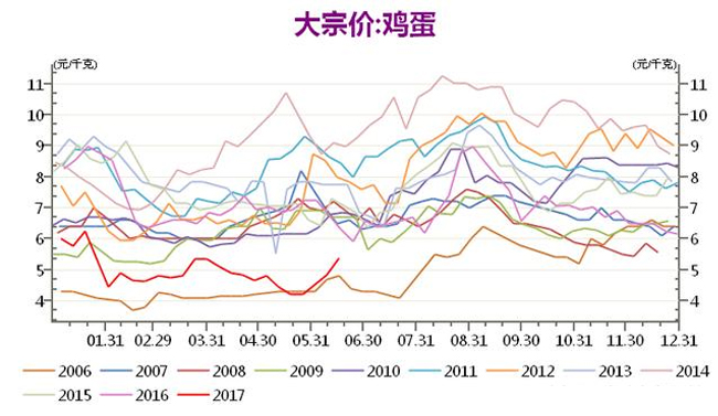 今日北京最新鸡蛋价格分析与展望