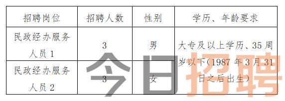 阜阳招聘信息最新概览