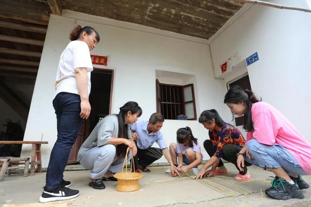 竹已最新小说探秘，一场文字与想象力的盛宴