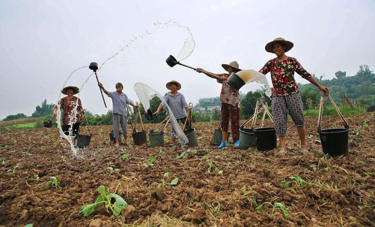 国家对农村土地最新政策深度解读