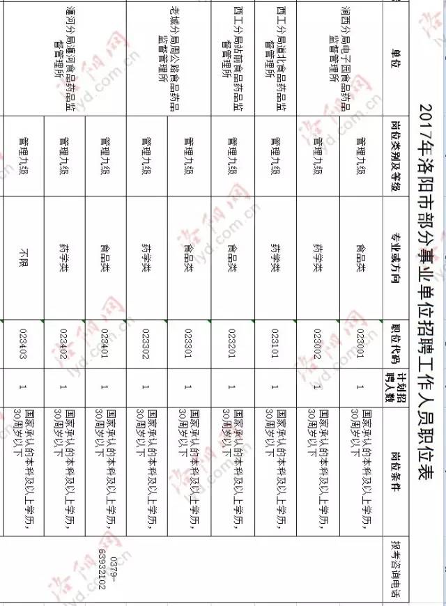 洛阳招聘网最新招聘动态深度解析