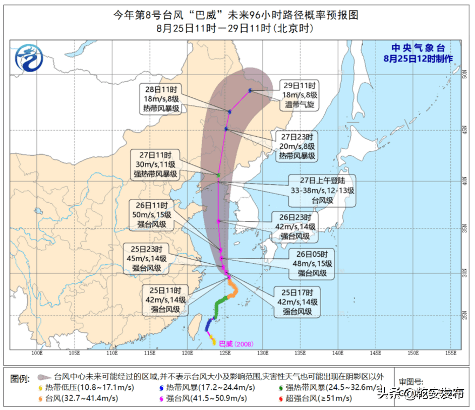 最新芝麻价格动态及其对市场的深远影响