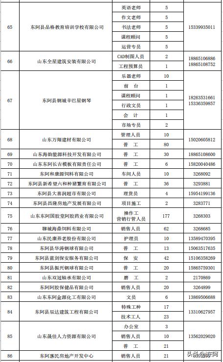 东阿最新招聘信息概览